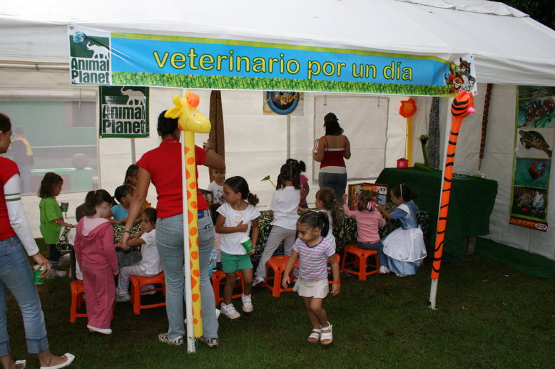 Summer Childcare Questions