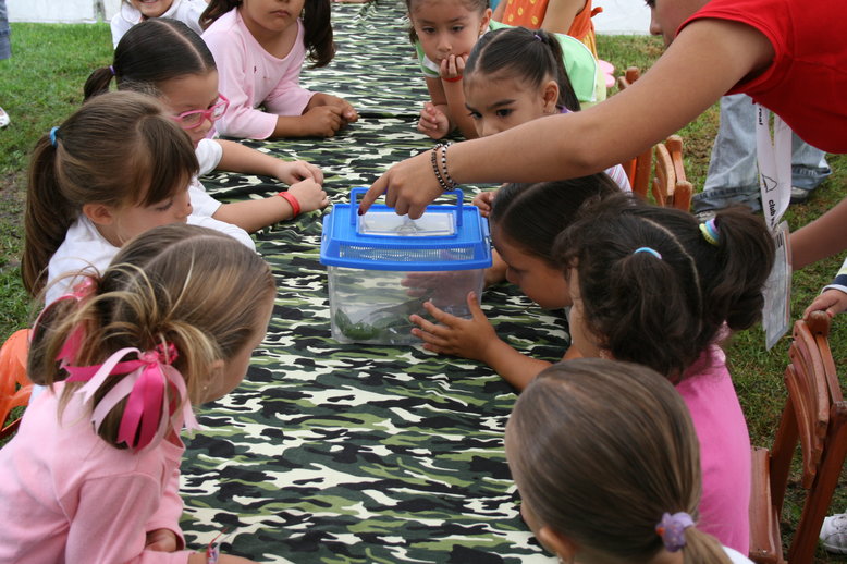 Summer Childcare Questions